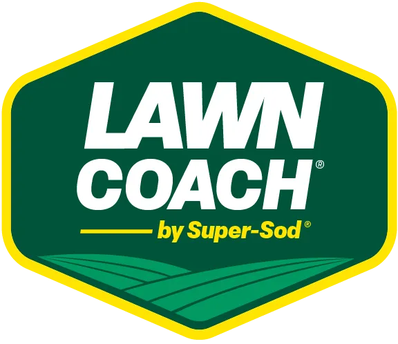 Champ Lawn Coach for Bermuda, Centipede, Zoysia, Tall Fescue