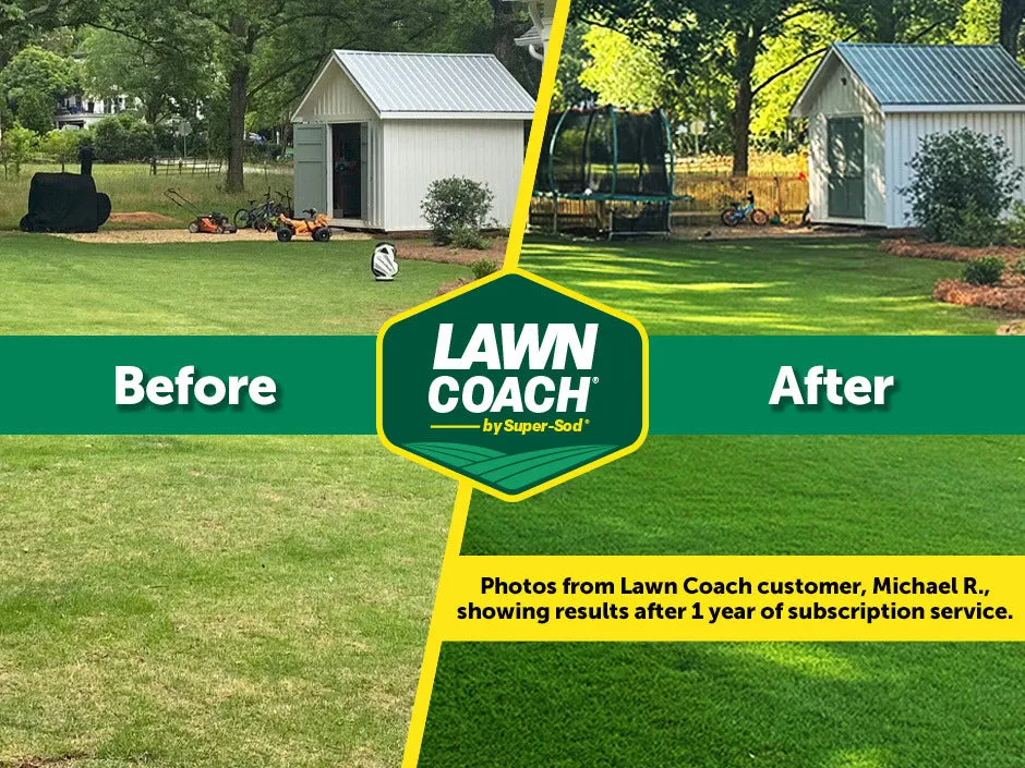 Champ Lawn Coach for Bermuda, Centipede, Zoysia, Tall Fescue