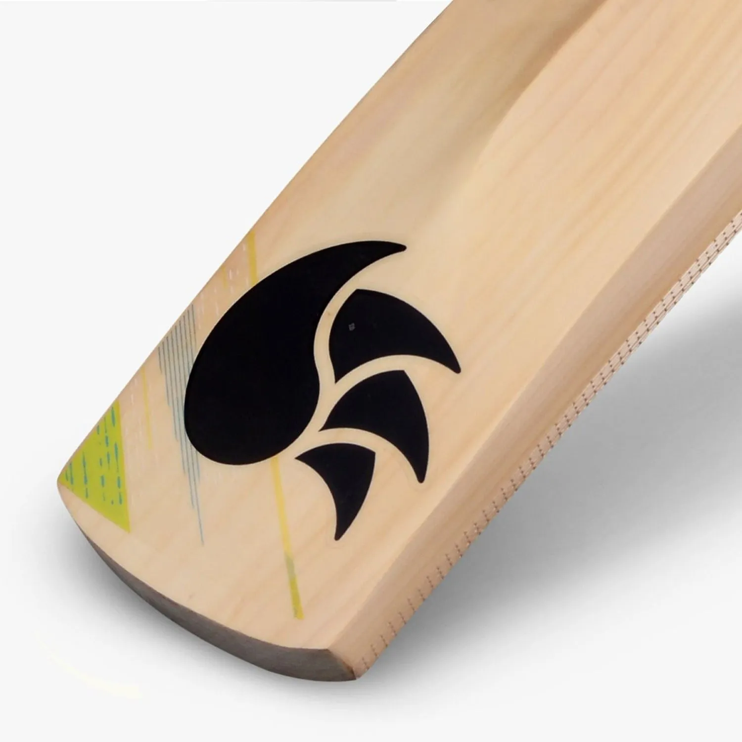 DSC Condor Flicker Kashmir Willow Cricket Bat