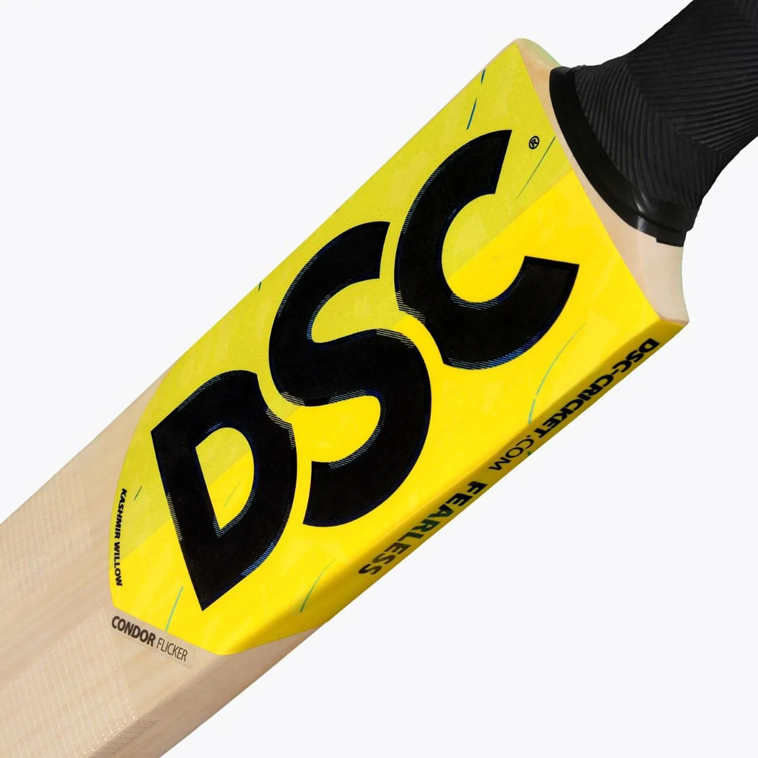 DSC Condor Flicker Kashmir Willow Cricket Bat