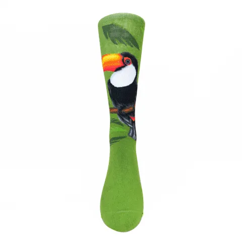 Wild Life - Toucan